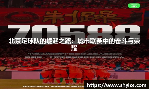 米兰(中国)体育官网